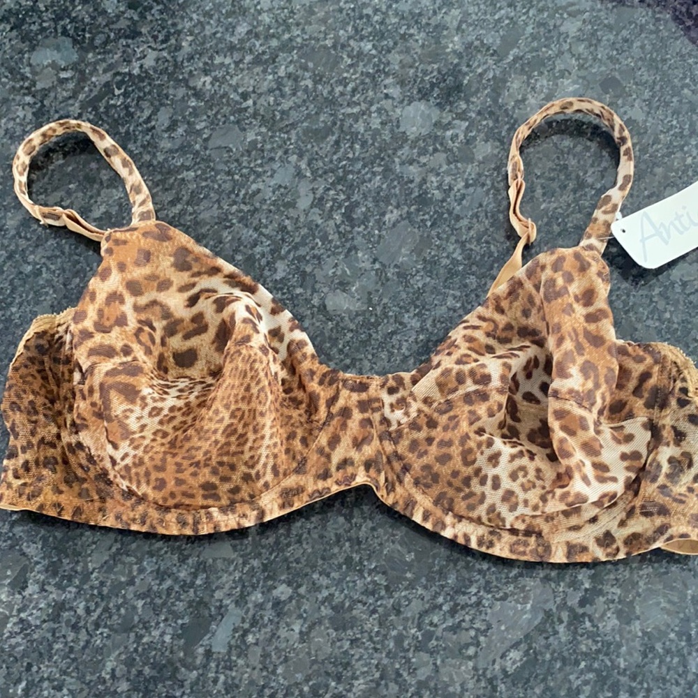 Women’s bra